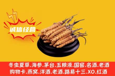 巩义市回收冬虫夏草